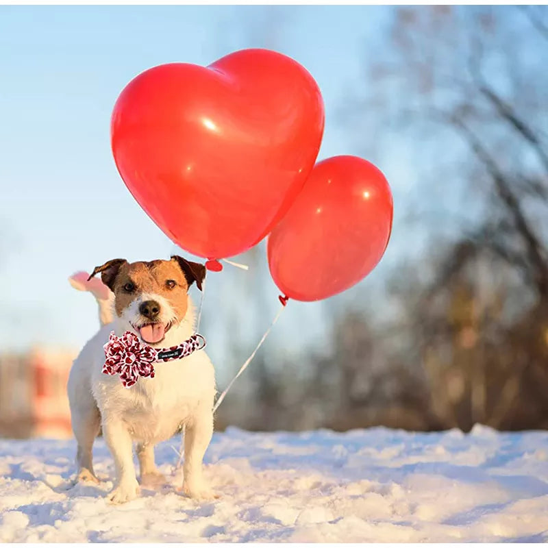 Unique Style Paws Valentine Red Heart Dog Collar with Flower Adjustable Pet Dog Collar for Large Medium Small Dog