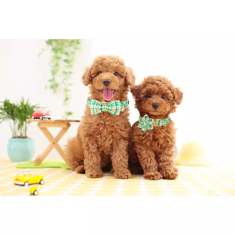 Personalized Unique Style Paws Summer Dog Collar Green Plaid Dog Collar with Bow Cotton Dog Collar for Large Medium Small Dog
