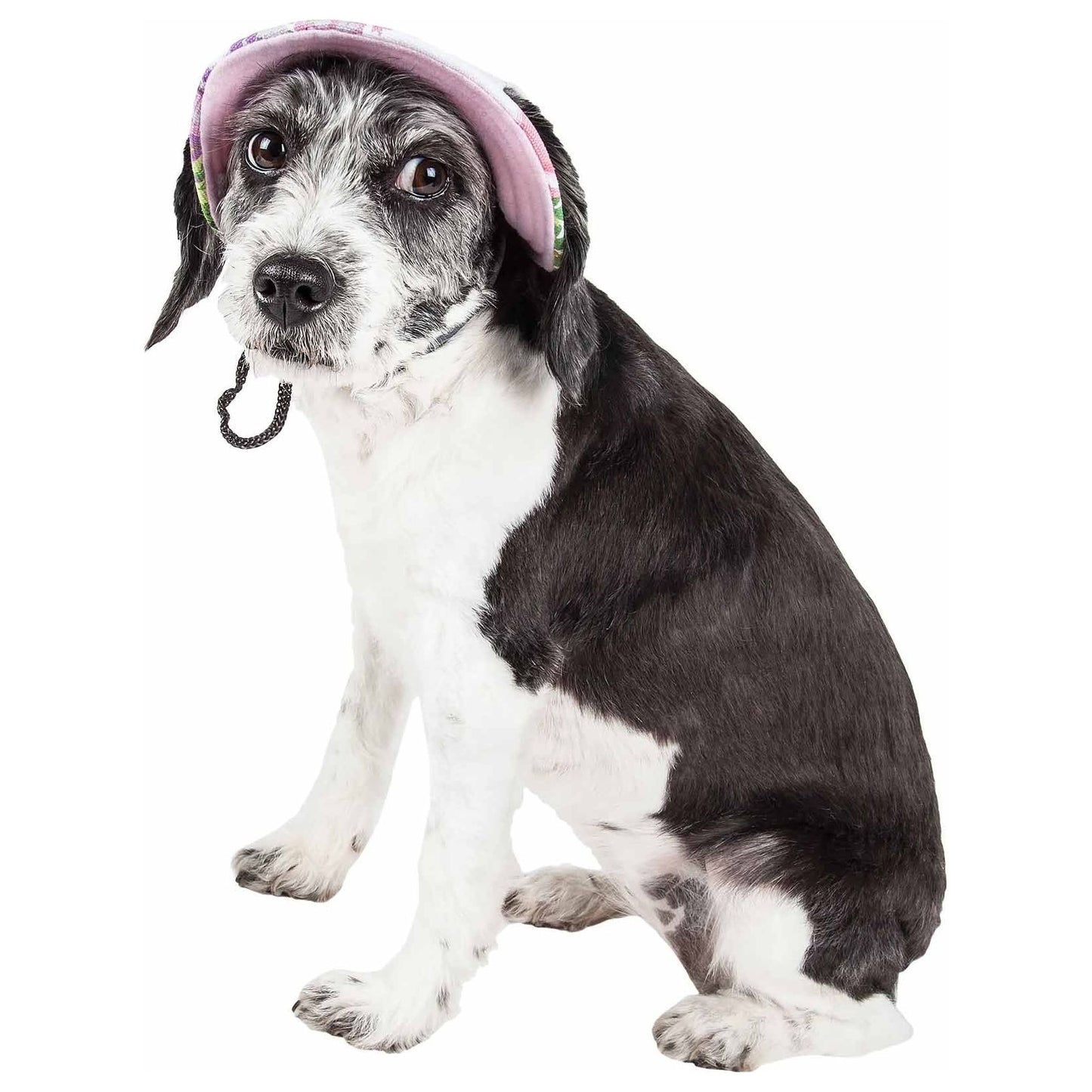 Pet Life 'botanic Bark' Floral Uv Protectant Adjustable Fashion Canopy Brimmed Dog Hat Cap - Large