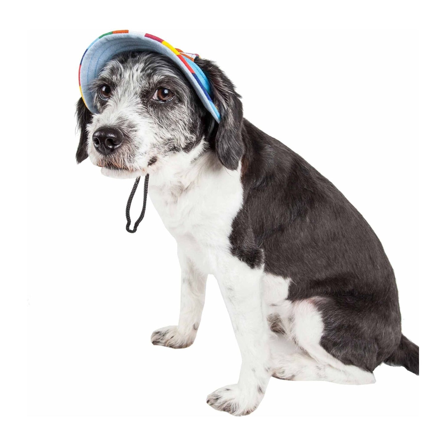 Pet Life 'colorfur' Uv Protectant Adjustable Fashion Canopy Brimmed Dog Hat Cap - Large