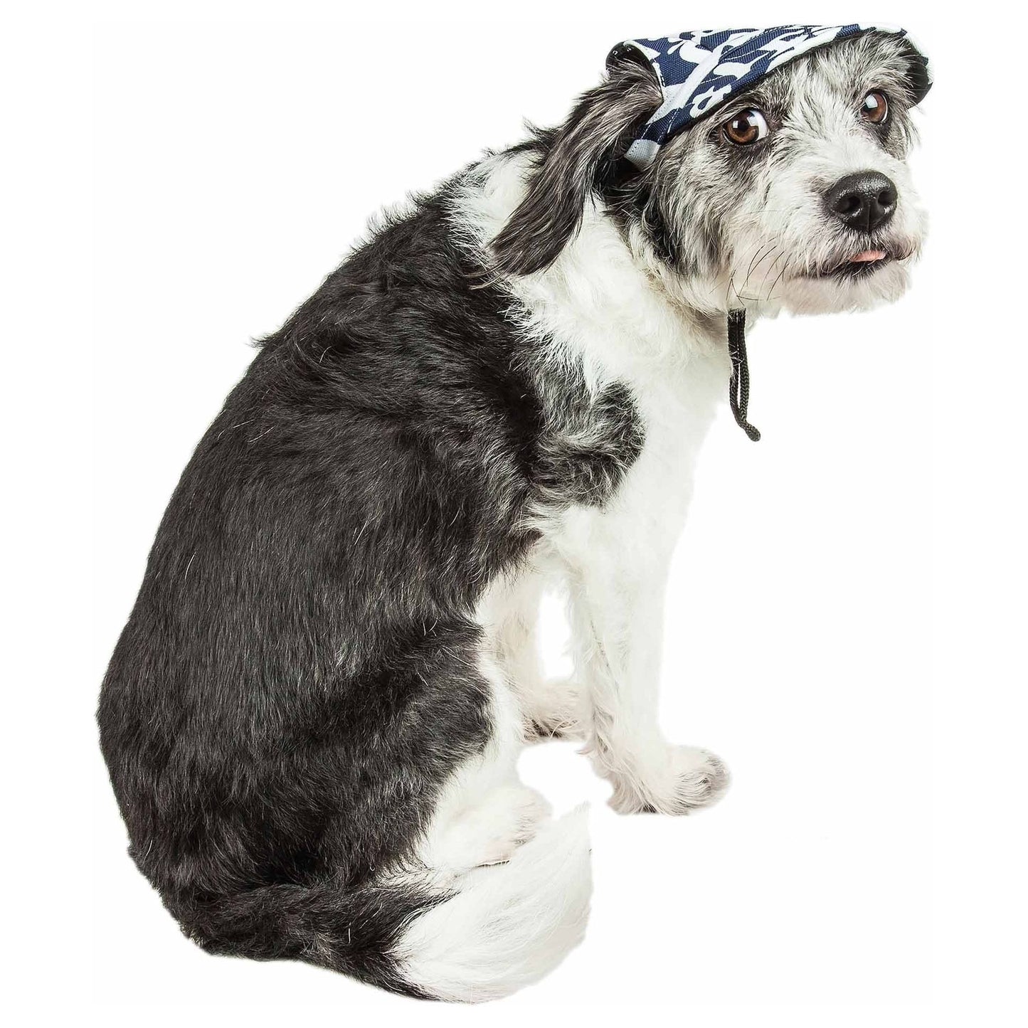 Pet Life 'bone Cappa' Graffiti Sculptured Uv Protectant Adjustable Fashion Dog Hat Cap - Medium