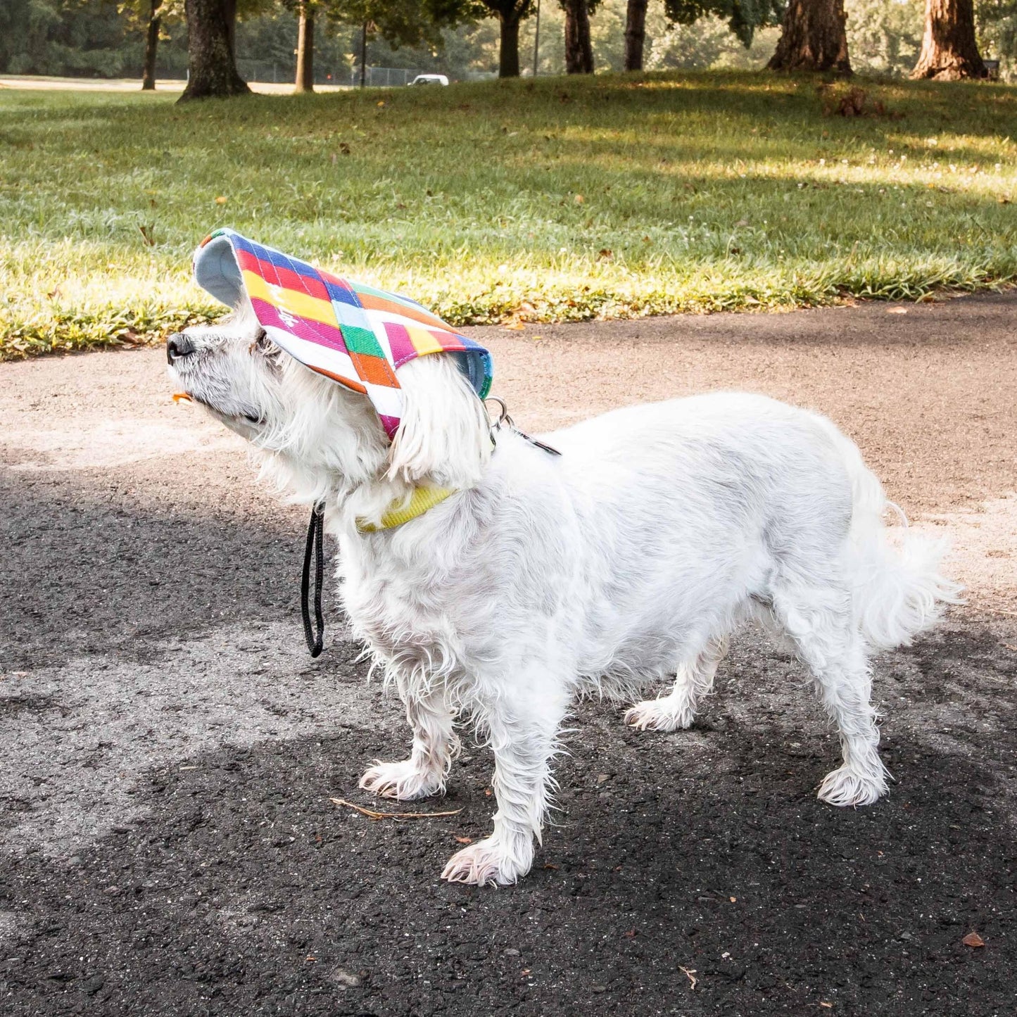 Pet Life 'colorfur' Floral Uv Protectant Adjustable Fashion Dog Hat Cap - Large