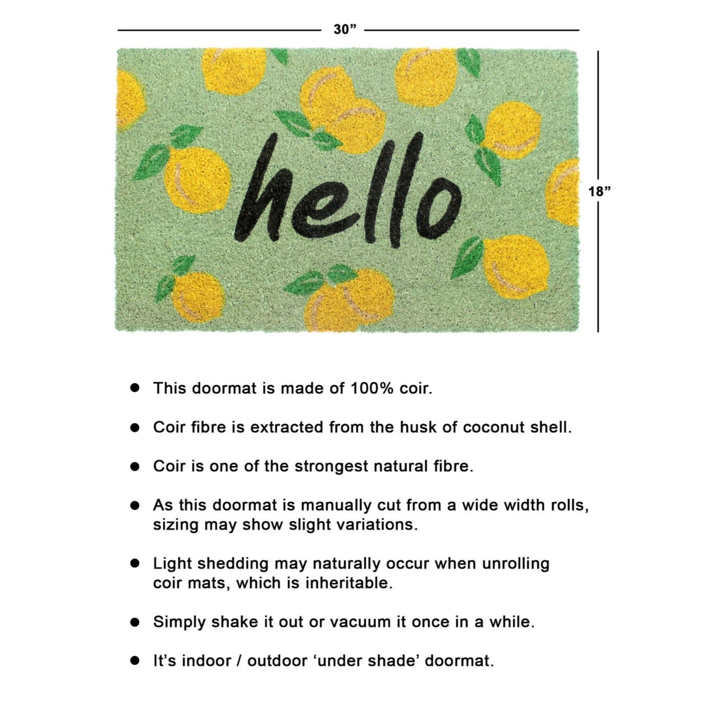 RugSmith Multi Tufted Hello Mangoes Doormat, 18" x 30"Heart