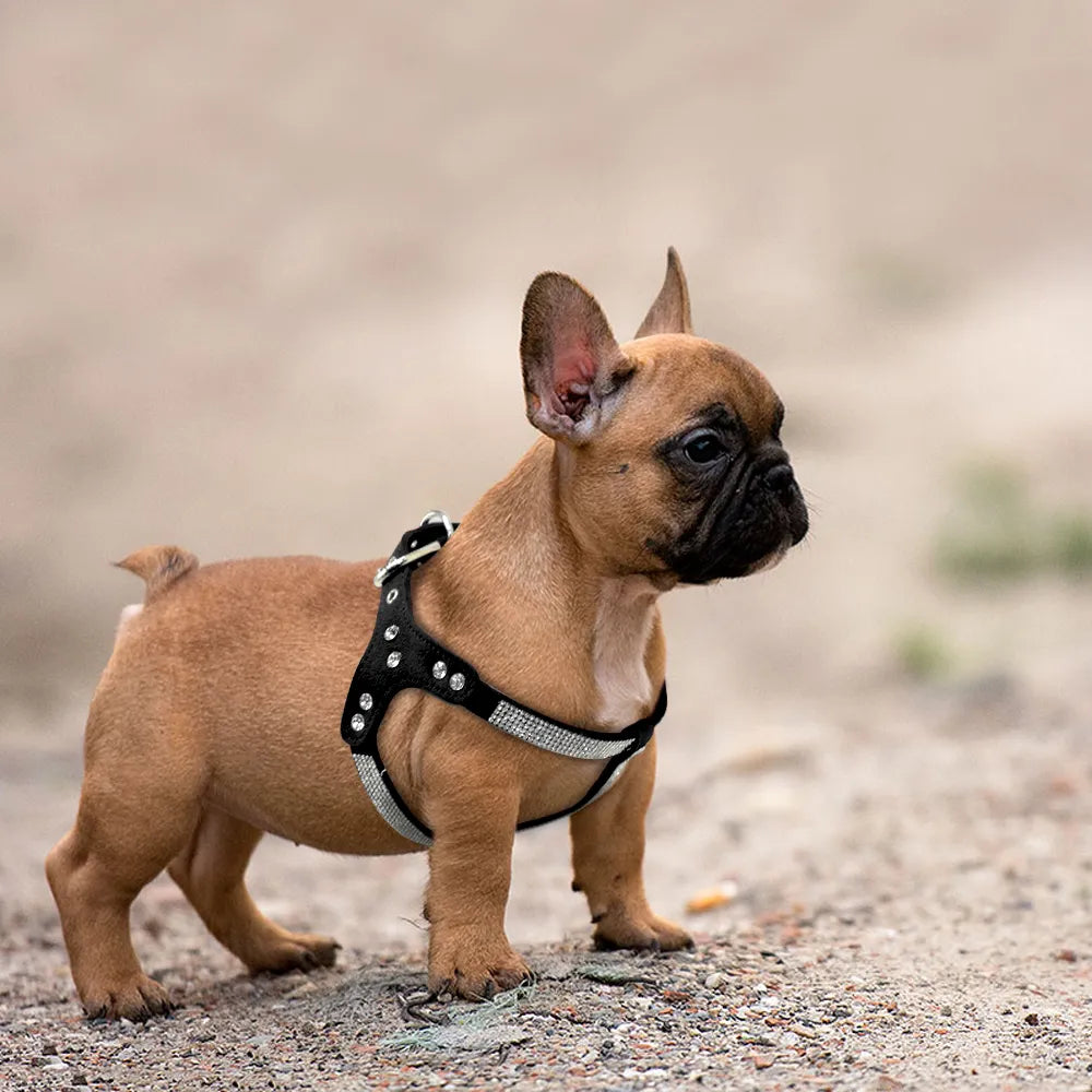 Rhinestone French Bulldog Harness Bling Suede Leather Puppy Dogs Harness Crystal Cat Small Dog Vest S M L for Chihuahua Poodle