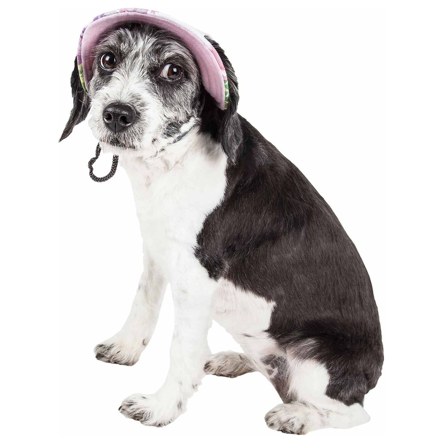 Pet Life  'botanic Bark' Floral Uv Protectant Adjustable Fashion Canopy Brimmed Dog Hat Cap - Large