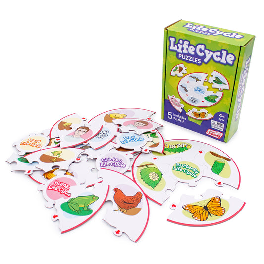 Life Cycle Puzzles